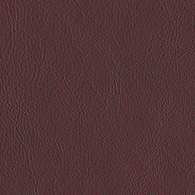 OXBLOOD 6004