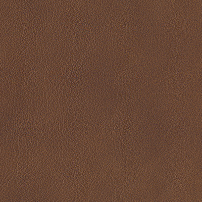 BROWN 6001