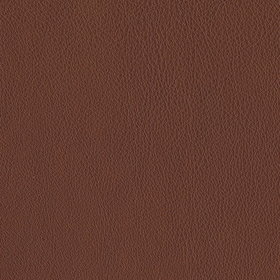 TEAK