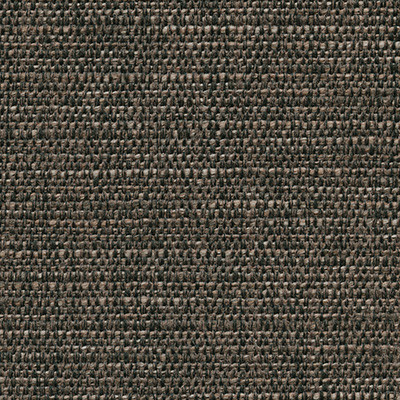 EBONY 5364