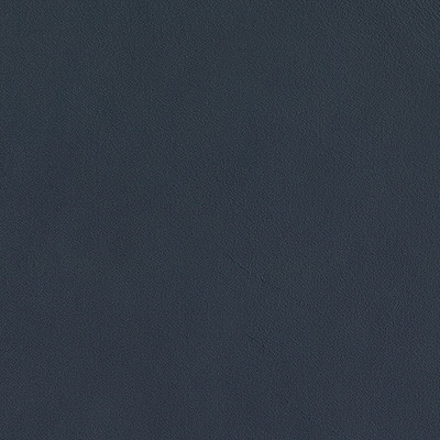 MARINE 181