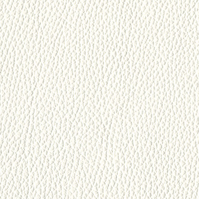BLANCO 1619