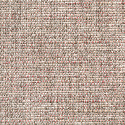 PINK 5353