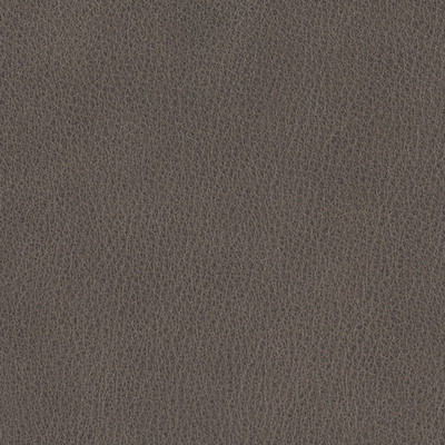 DAWN 352
