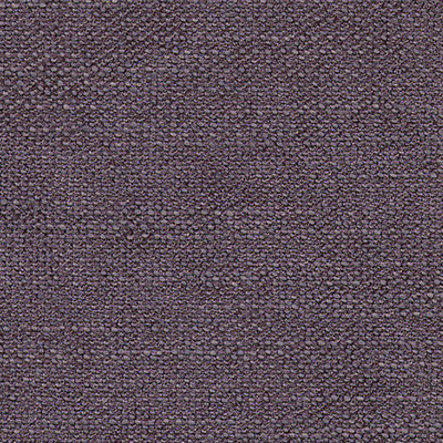 PURPLE 1173