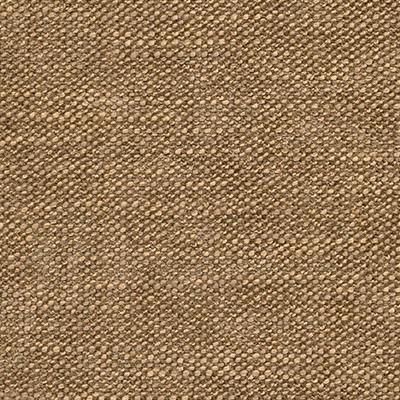 CAMEL 1174
