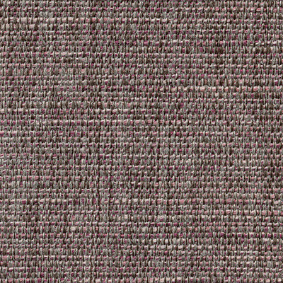 AUBERGINE 5359