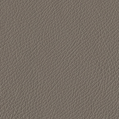 ELEFANTE 1603