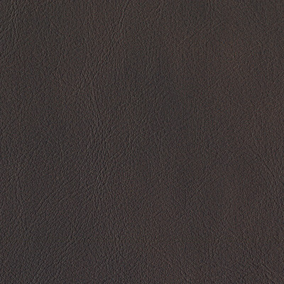 PINE 6002