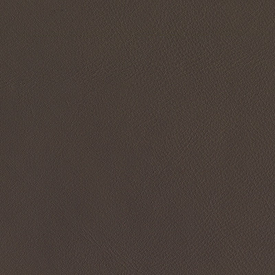 DARK BROWN 189