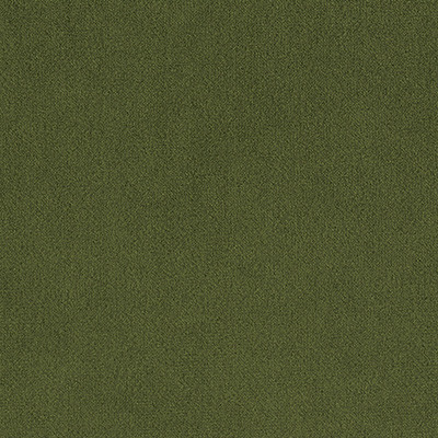 TURTLE-88