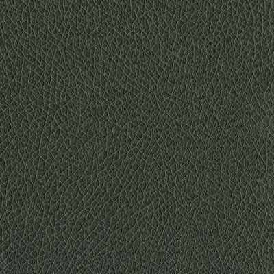 ARMY GREEN 1607