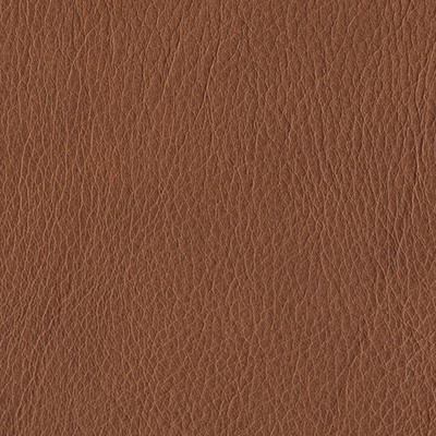 TAN 6000