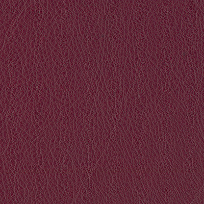 RUBIN