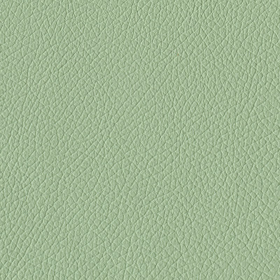 MINT 1648