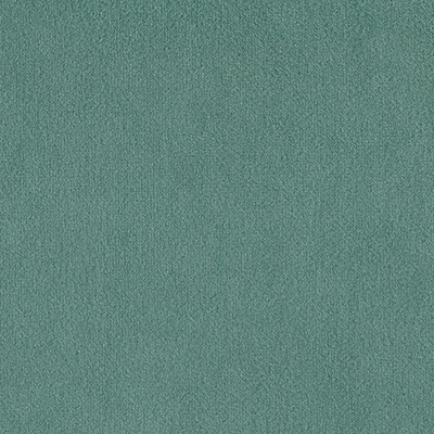 EUCALYPTUS-193