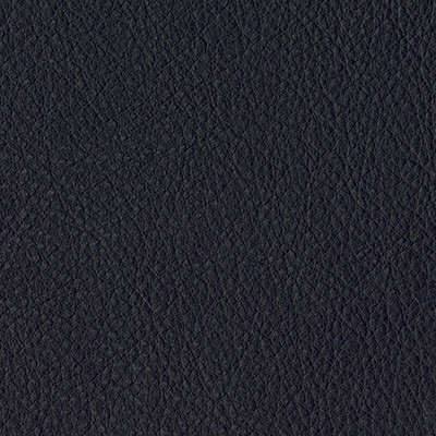 SCHWARZ 1901