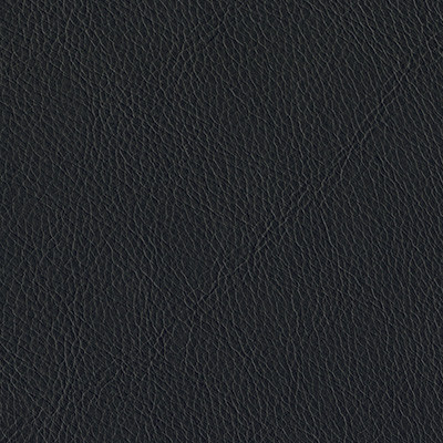 BLACK 6008