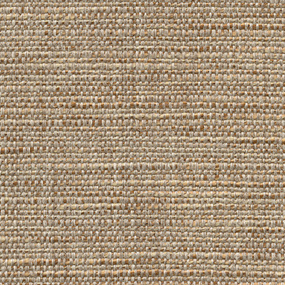 CAMEL 5361