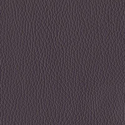 PURPLE 1622