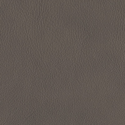 GREY 6006