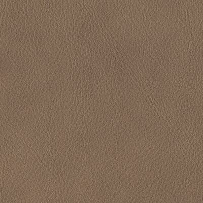 STONE 6005